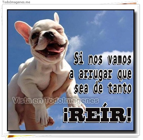 imagen de 10472-20160302-034603