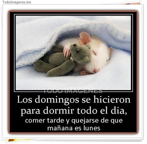 imagen de 4600-20160302-034020