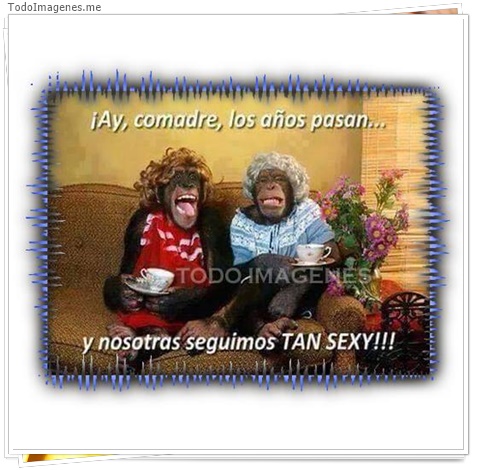 imagen de 4282-20160302-034006
