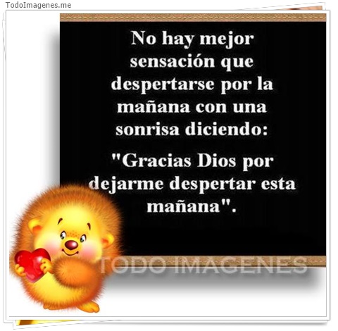imagen de 416-20160302-033710