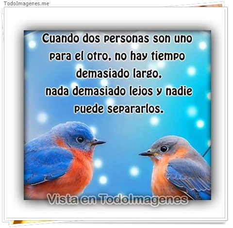 imagen de 10305-20160302-034552