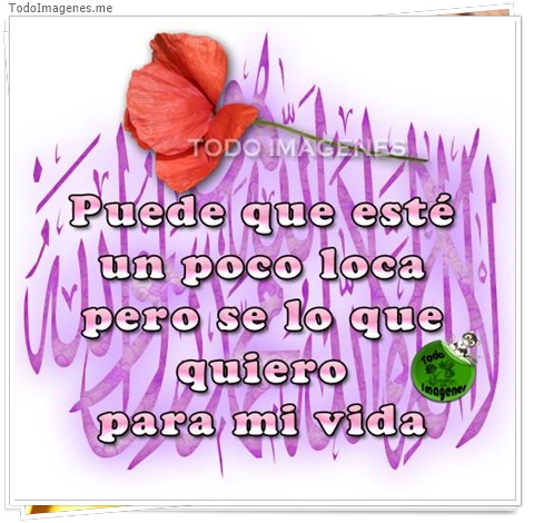 imagen de 6981-20160302-034210