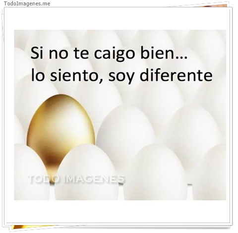 imagen de 9750-20160302-034508