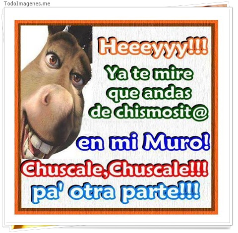 imagen de 4359-20160302-034010