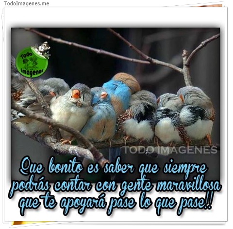 imagen de 9241-20160302-034432