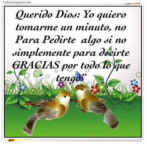 imagen de 2235-20160302-033833