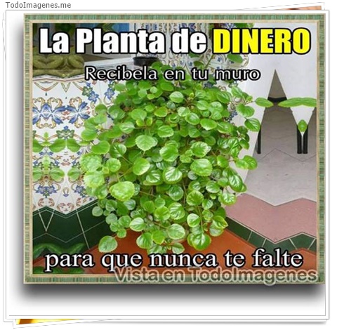 imagen de 10284-20160302-034550