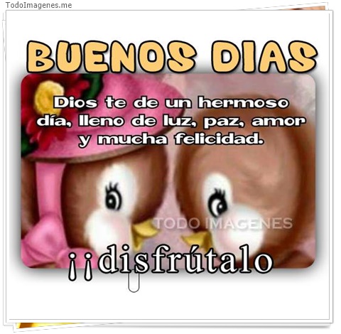 imagen de 2923-20160302-033905