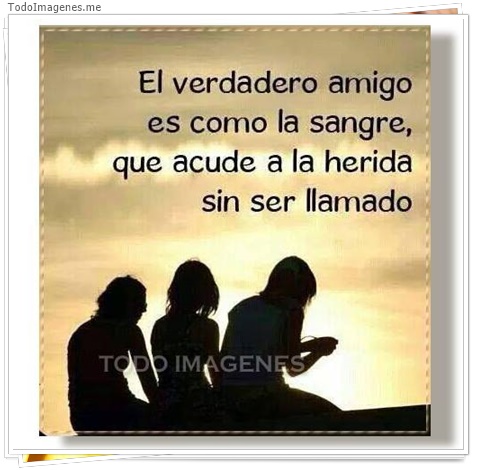 imagen de 5822-20160302-034115