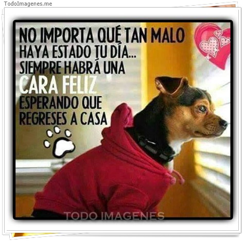 imagen de 7984-20160302-034309