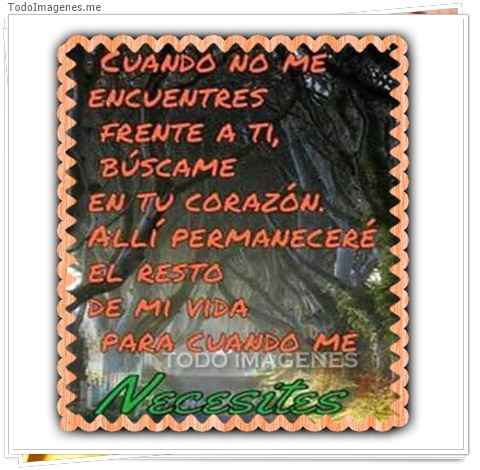 imagen de 4491-20160302-034014