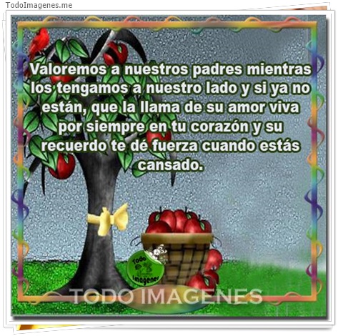 imagen de 641-20160302-033721