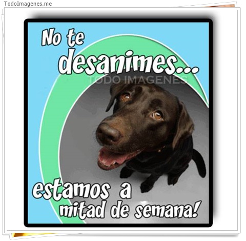 imagen de 6550-20160302-034149