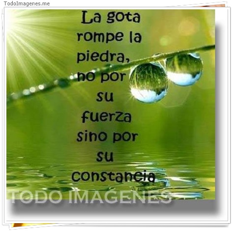 imagen de 266-20160302-033703
