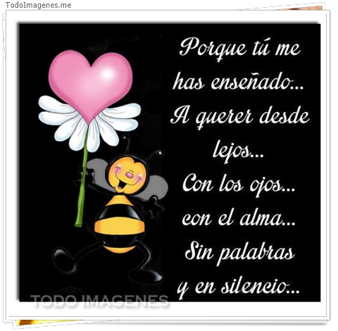 imagen de 3745-20160302-033943