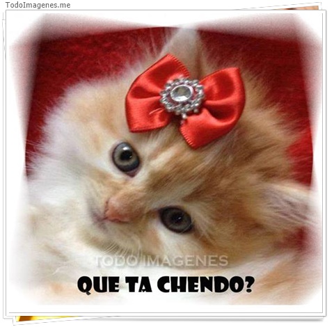 imagen de 3932-20160302-033951
