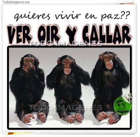 imagen de 6203-20160302-034133