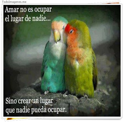 imagen de 4733-20160302-034026