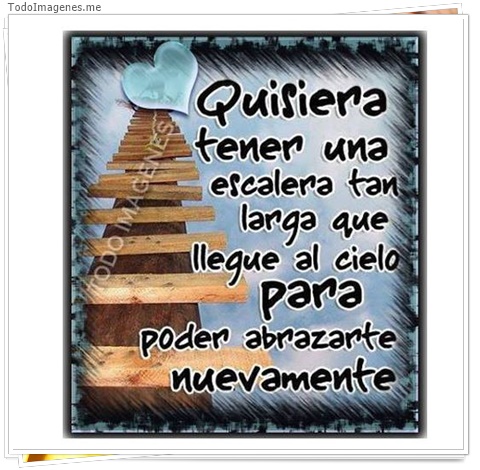 imagen de 6763-20160302-034159