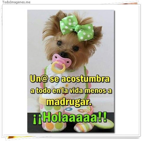 imagen de 2366-20160302-033839