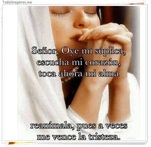 imagen de 2035-20160302-033824