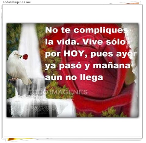 imagen de 9768-20160302-034509