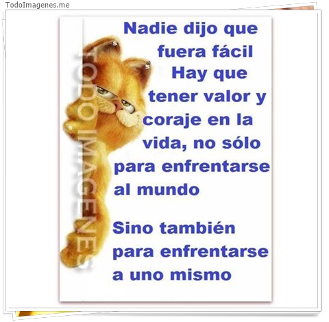 imagen de 2059-20160302-033825