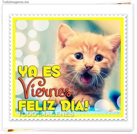 imagen de 6426-20160302-034144