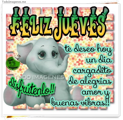 imagen de 8969-20160302-034416