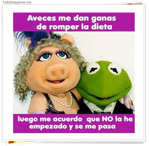 imagen de 2305-20160302-033836