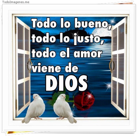 imagen de 4047-20160302-033956