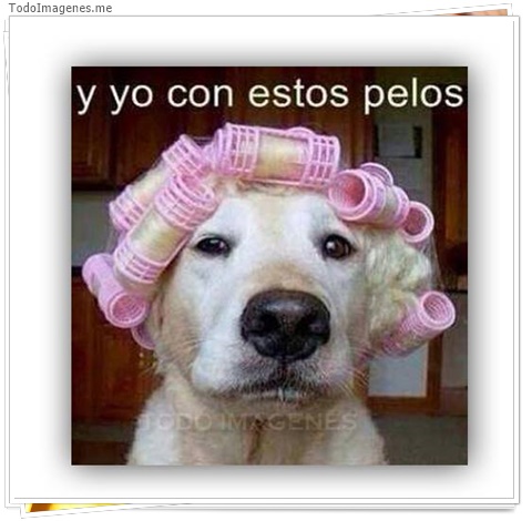 imagen de 9758-20160302-034509