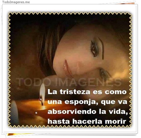 imagen de 2458-20160302-033843