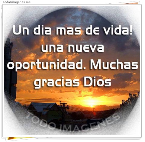 imagen de 263-20160302-033703