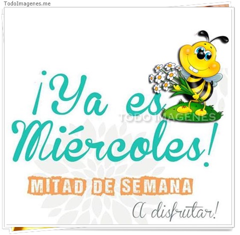 imagen de 8628-20160302-034354