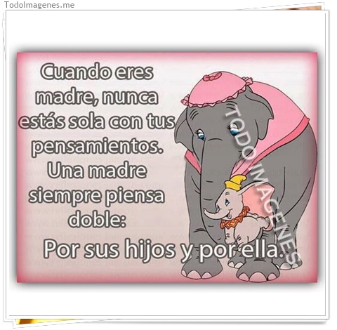 imagen de 323-20160810-120301