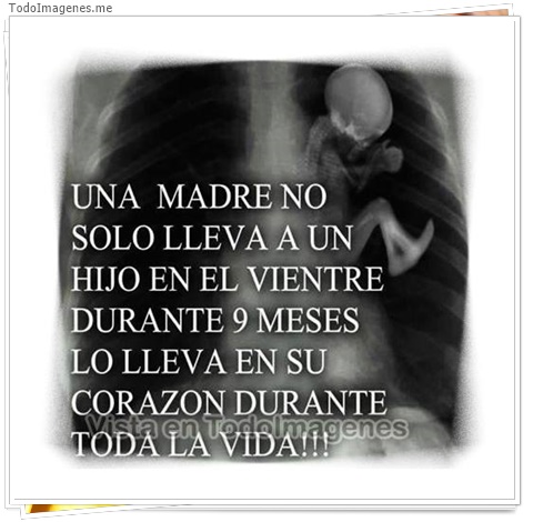 imagen de 10950-20160302-034638
