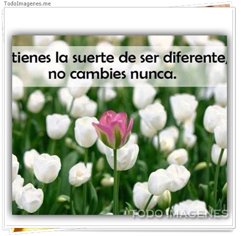 imagen de 3318-20160302-033923
