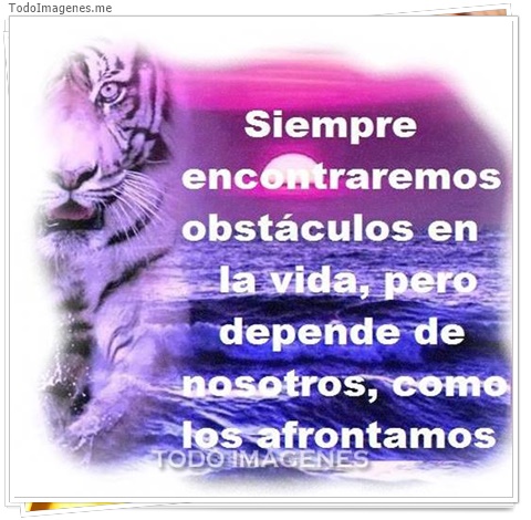 imagen de 6871-20160302-034204