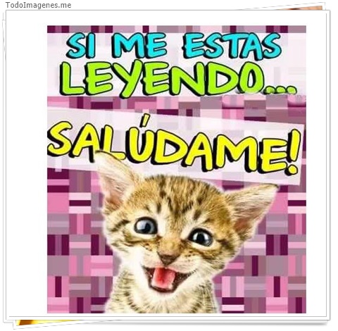imagen de 4568-20160302-034018
