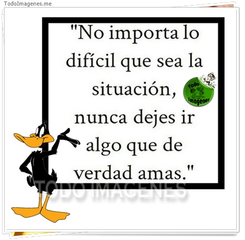 imagen de 2132-20160302-033828
