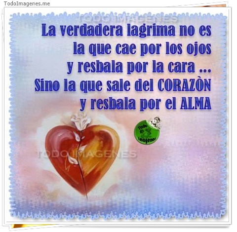 imagen de 6700-20160302-034157
