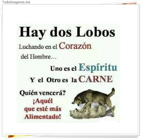 imagen de 4481-20160302-034014