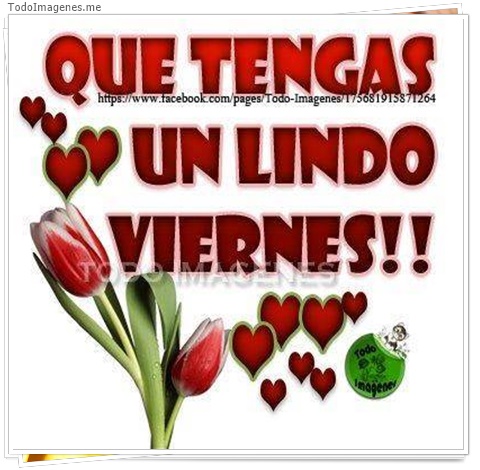 imagen de 4721-20160302-034025