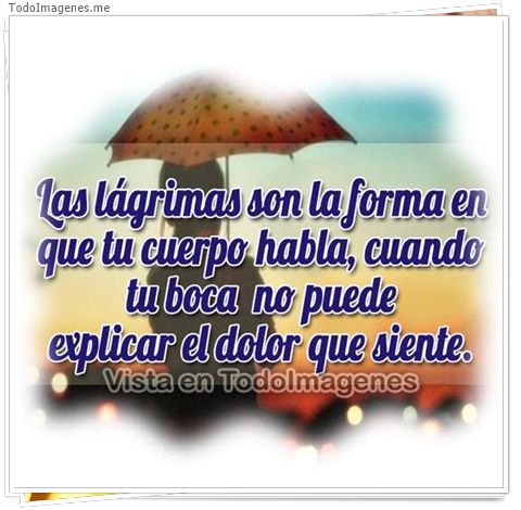 imagen de 10694-20160302-034619