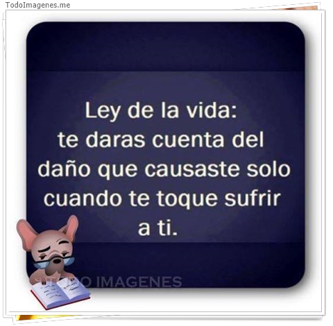 imagen de 2341-20160302-033838