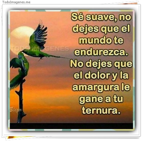 imagen de 3006-20160302-033909