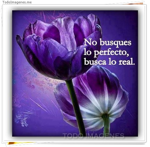 imagen de 8201-20160302-034325