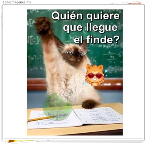 imagen de 1827-20160302-033814