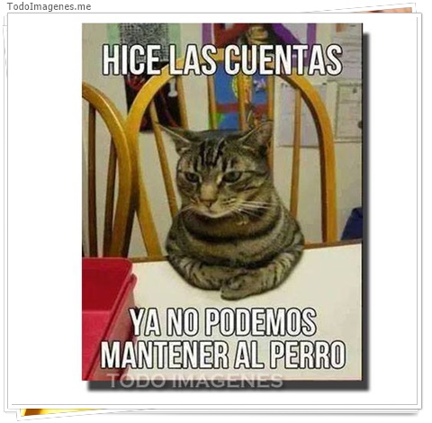 imagen de 7694-20160302-034251